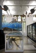 manchester museum 9-2023 8893